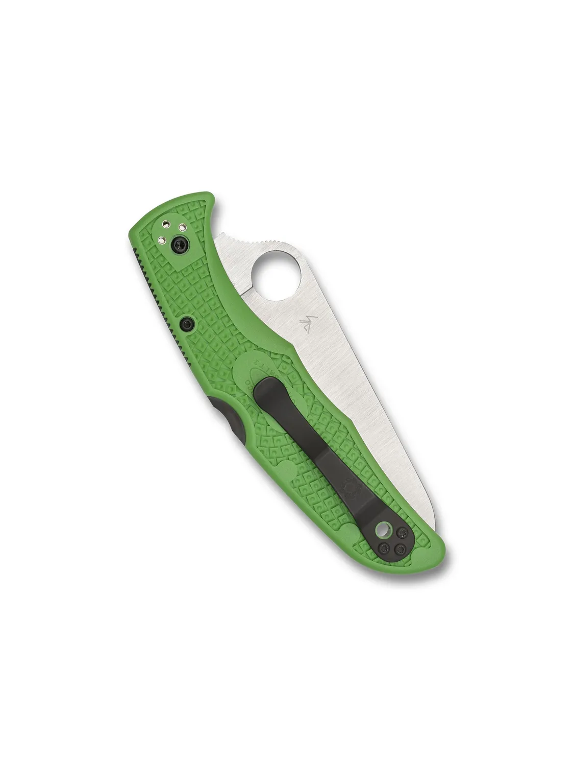 Spyderco Pacific Salt 2 Taschenmesser Grün LC200N Glatt
