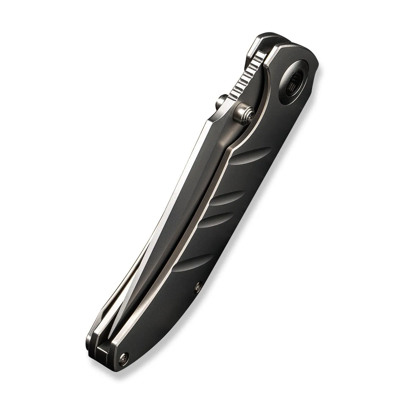 WeKnife Riff-Raff WE22020B-4 Klappmesser Titan 20CV