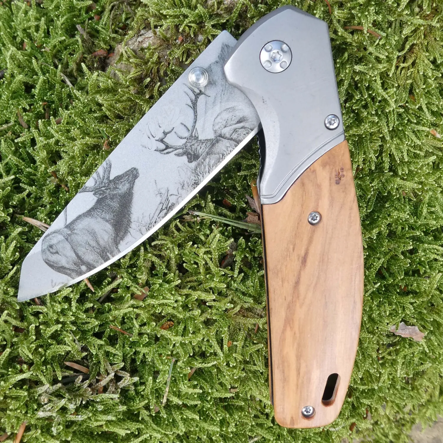 Herbertz Top Collection 55009 Einhandmesser Olivenholz AISI 420