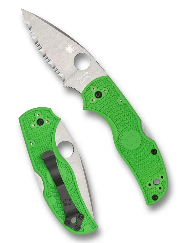 Spyderco Native 5 Salt Taschenmesser LC200N grün glatt