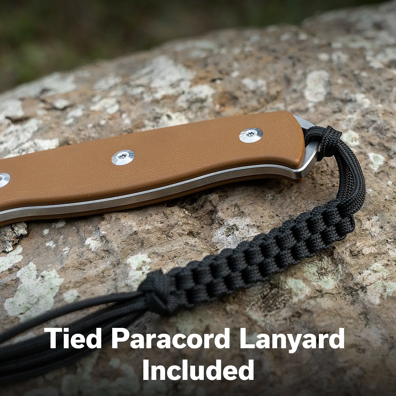 SENCUT Toxodon S24036-3 Fixed Blade Braun Kydex
