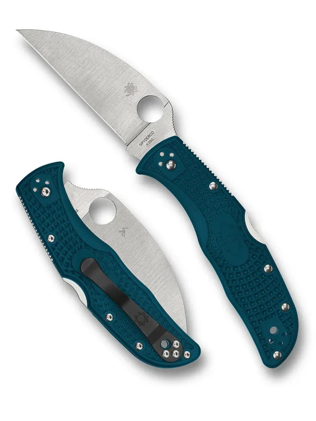 Spyderco Endela Taschenmesser K390 Wharncliffe Blau FRN
