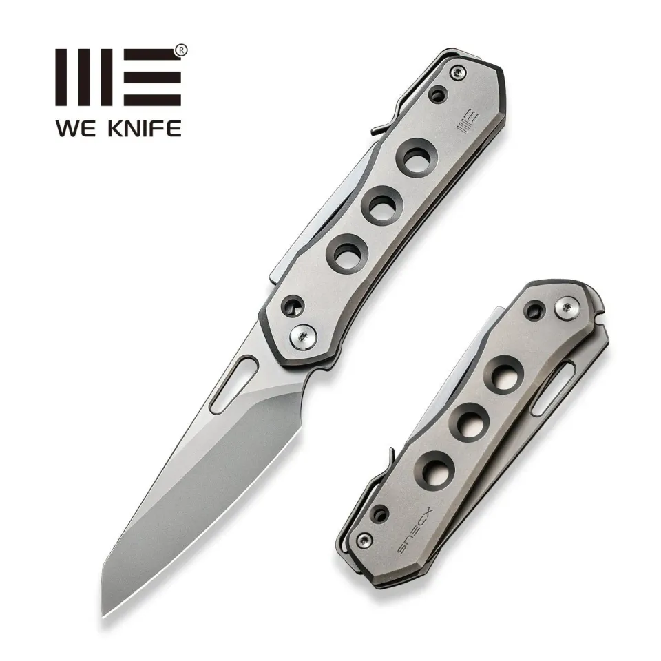 WeKnife Vision R WE21031-1 Klappmesser 20CV Titan