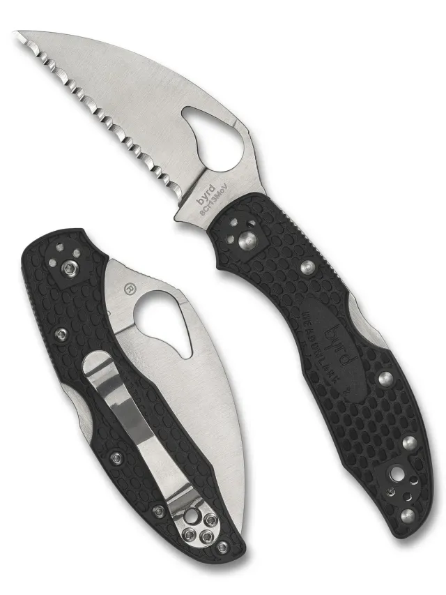 byrd Meadowlark 2 Wharncliffe Taschenmesser FRN glatte Klinge