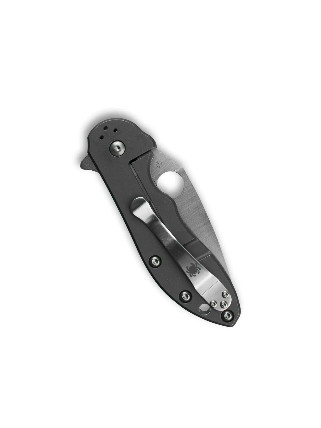 Spyderco Domino Blau G-10 Taschenmesser CTS-204P Flipper