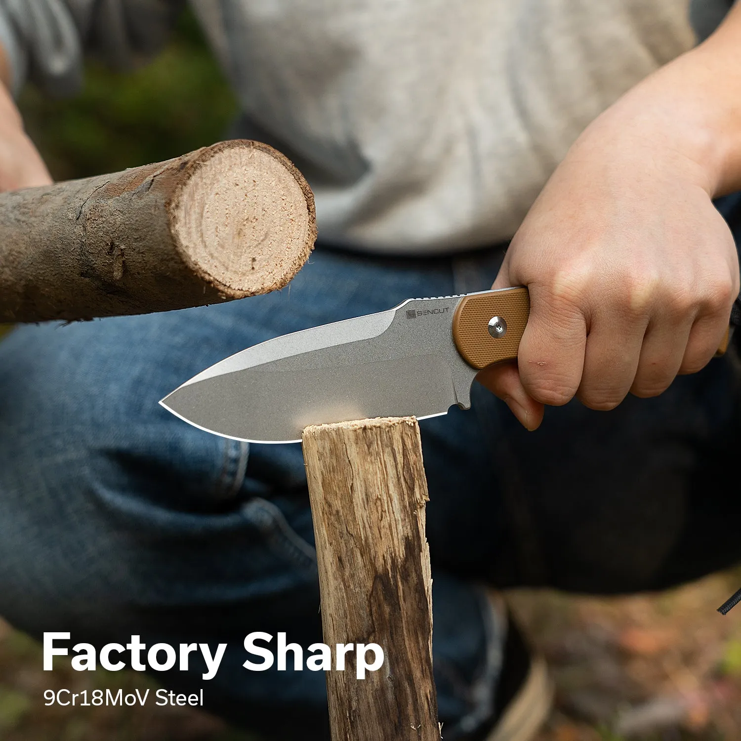 SENCUT Toxodon S24036-3 Fixed Blade Braun Kydex