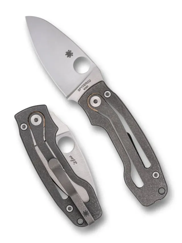 Spyderco PITS 2 Taschenmesser Titan M390