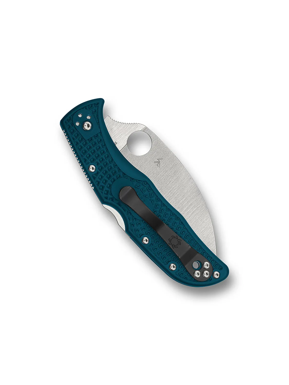 Spyderco Endela Taschenmesser K390 Wharncliffe Blau FRN