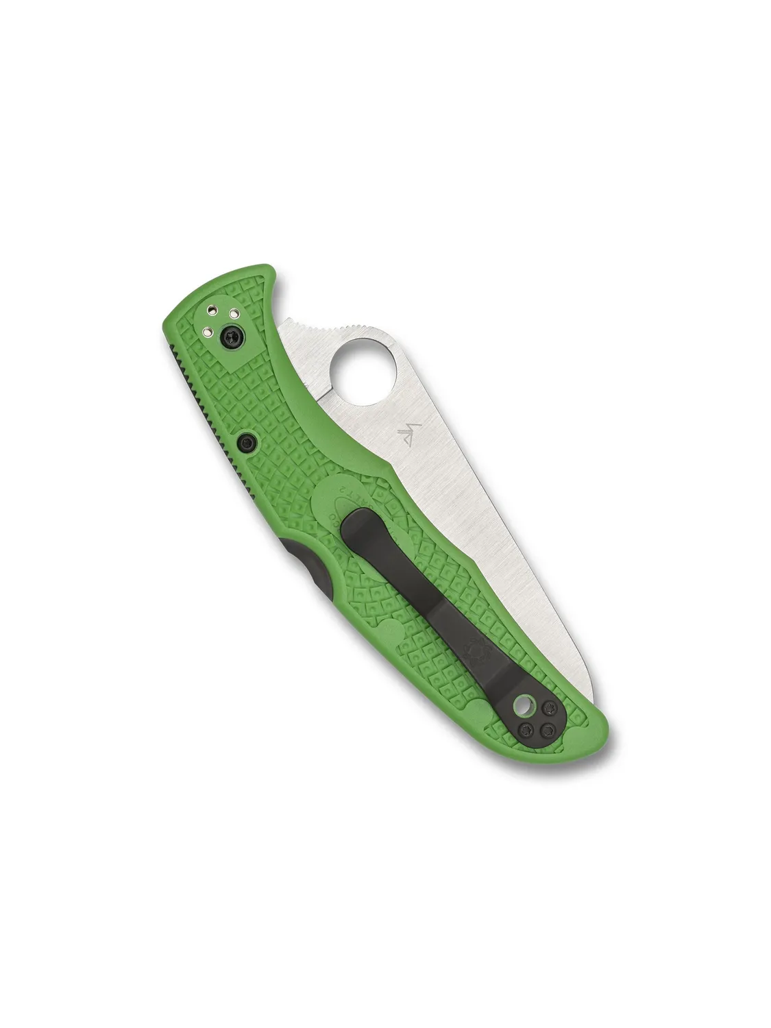 Spyderco Pacific Salt 2 Taschenmesser Grün LC200N Glatt
