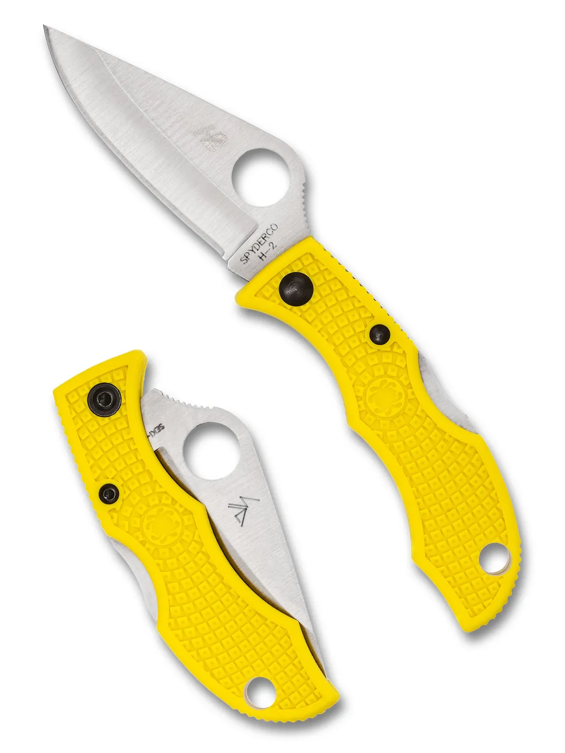 Spyderco Ladybug 3 Salt Schlüsselmesser H-2 Hawkbill